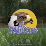 Les Faucons (web-série)